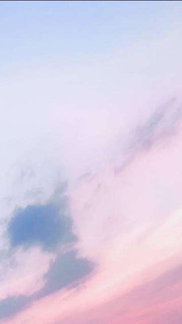 玫瑰雾是今全文免费阅读