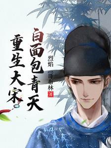 重生大宋包青天时期