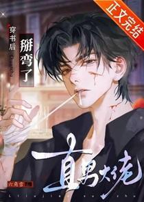穿书后掰弯了直男大佬笔趣阁第二十